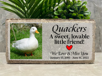 Pet Duck Memorial. 8x4 PERSONALIZED Burial Marker. Duck. Pet Memorial Stone. Brick. Sympathy Gift. Tumbled Paver Stone. Outdoor or Indoor.