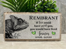 Lizard Pet Loss Memorial. Chameleon. 8x4 Personalized Burial Marker Brick. Tumbled Paver Stone. Sympathy Gift. Memorial Stone.